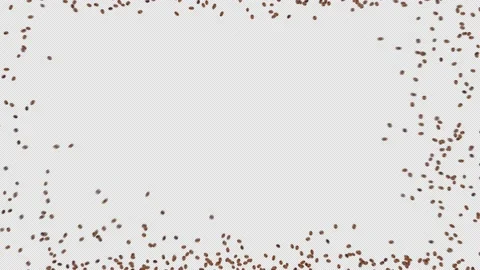 Vietnam Coffee Beans Stock Footage 152732513