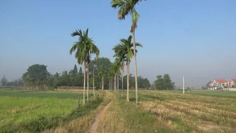 The Vietnam countryside Stock Footage 291936859