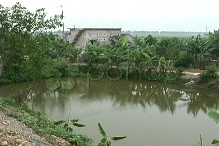 Vietnam Fish pond & farm house, Stock Video