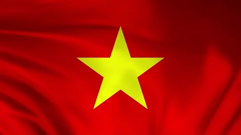 Vietnam flag animation Stock Footage 245552753