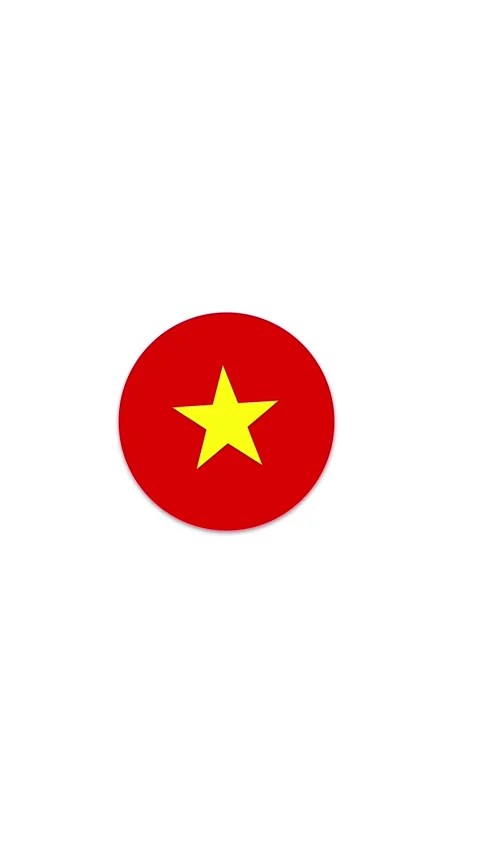 Vietnam Flag Button Icon Animation Stock Footage 336747540