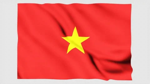 Vietnam flag fluttering in the wind Stock Footage 305811733