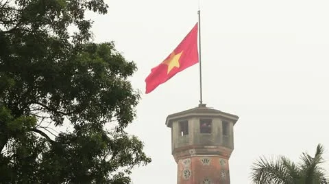 Vietnam flag 動画素材 10878959