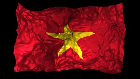 Vietnam flag Stock Footage 110870160