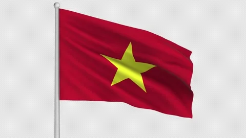 Vietnam Flag Stock Footage 211836573