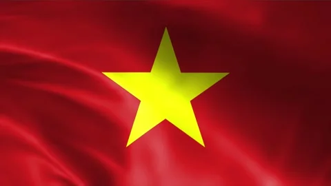 Vietnam Flag Stock Footage 262500124