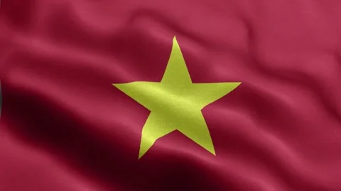 Vietnam flag Front Stock Footage 318670672
