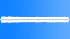 VIETNAM, FOREST Sound Effect