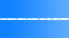 Vietnam Jungle Ambience, bird dawn сhorus Sound Effect