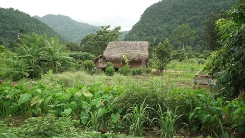 Vietnam Khu Bao National parkm Jungle village Stock Footage