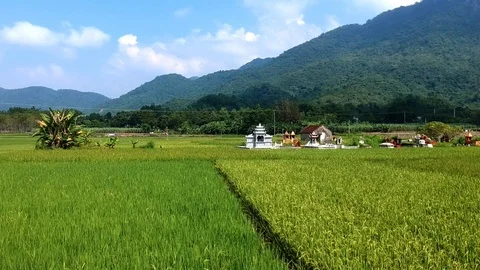 Vietnam Landscape and rural cemetery on sunny day. Stock Footage