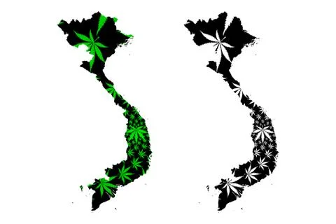 Vietnam - map is designed cannabis leaf Stock Illustration
