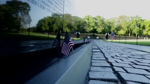 Vietnam Memorial Flag Stock Footage 146199965