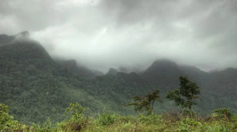 Vietnam mount  jungle Vídeo Stock 24951904