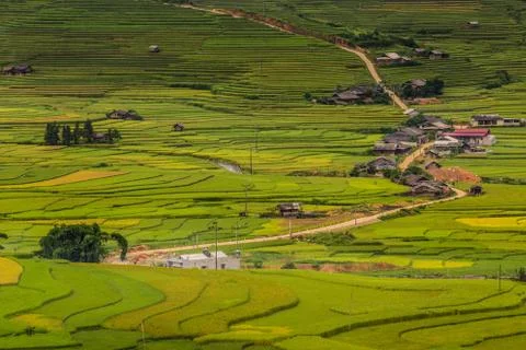Vietnam Stock Photos