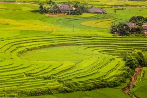 Vietnam Stock Photos