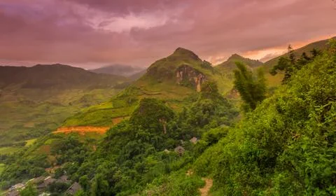 Vietnam Stock Photos