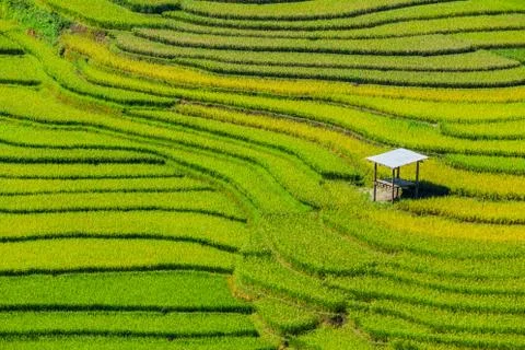 Vietnam Stock Photos