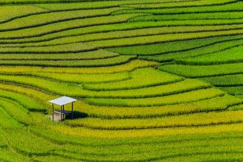Vietnam Stock Photos