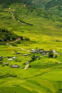 Vietnam Stock Photos