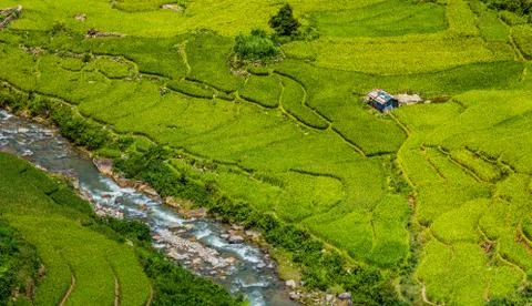 Vietnam Stock Photos