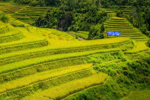 Vietnam Stock Photos