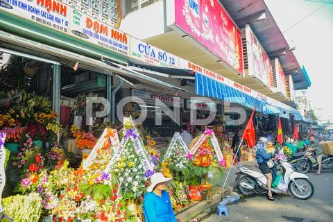 Vietnam Stock Photos