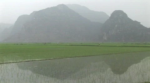 Vietnam rice fields Stock Footage 476657