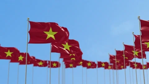 Vietnam Row Of Flags Animation Video stock 148805274