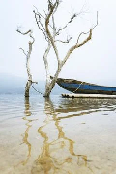 Vietnam. Rustic Boats by the Tree Stock Photos