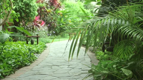 Vietnam Stone Path Jungle Stock Footage 54253118