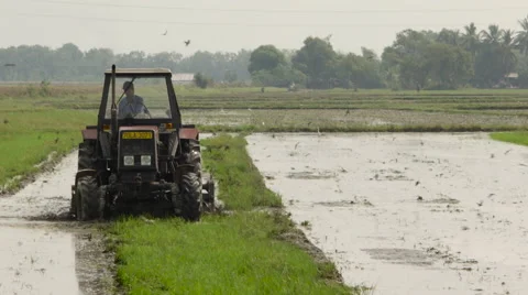 Vietnam tractor rice fields 库存影片 64571261