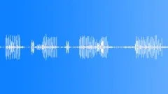 Vietnam tropical birds voicesSound Effect