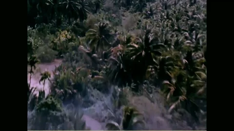 Vietnam War - Aerial Footage Rear View while dropping napalm bombs Stock Footage 91246072