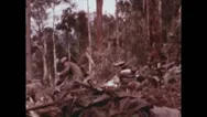 Vietnam War - Dag To Battle - Attack 01 Stock Footage