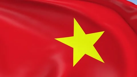 Vietnam Waving Flag Background Loop Stock Footage 317843855