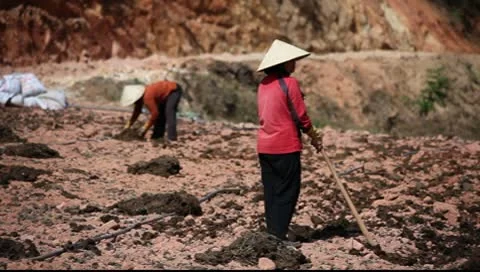 Vietnam_LDA P 00237 Stock Footage 8915740