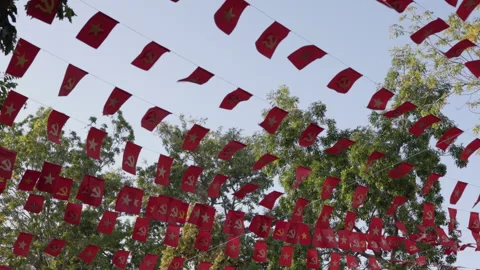 Vietnamese and communist party flags waving 库存影片 335231153