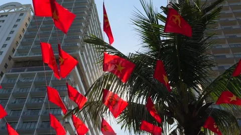 Vietnamese and Communist Party flags on strings sun backlit above city street Video stock 342220009