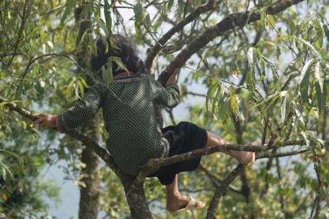 Vietnamese child on a tree Foto stock
