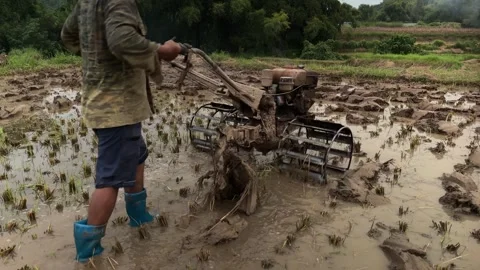 Vietnamese-farmer-plowing-field-close-up Stock Footage 340238654