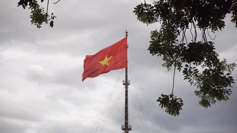 Vietnamese Flag blow in the wind . Cloudy sky and tree background Stock Footage 113664236
