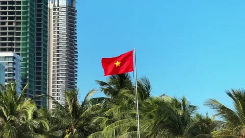 Vietnamese Flag with Modern construction site of High Rise Tower and Palm Trees Stock-Footage 339045654