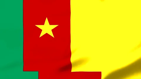 Vietnamese flag with yellow star on red background waving Video stock 343573944