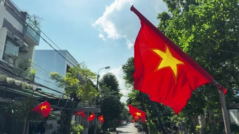 Vietnamese Flags on the Street with Trees during national holidays Vídeos de archivo 339045668