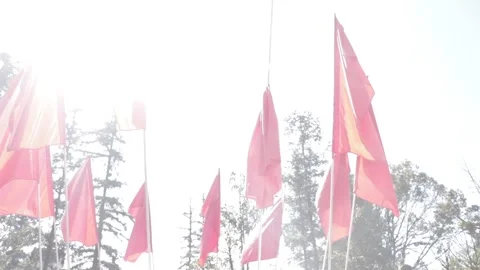 Vietnamese flags waving 스톡 동영상 154231504