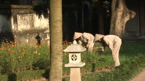 Vietnamese gardeners Stock Footage 288839