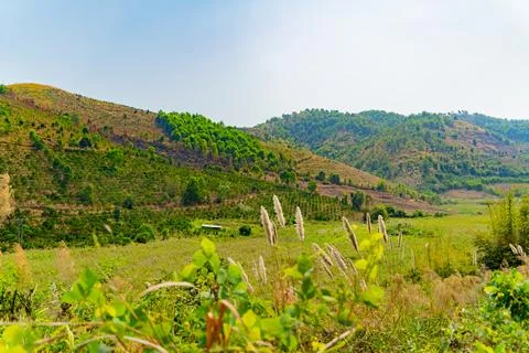 Vietnamese landscape. Photos