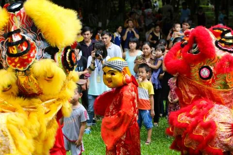 Vietnamese lion dance Stock Photos