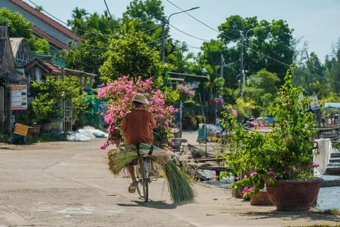 Vietnamese man riding a bicycle with a bundle of harvested sedge grass on a.. Stock-Fotos